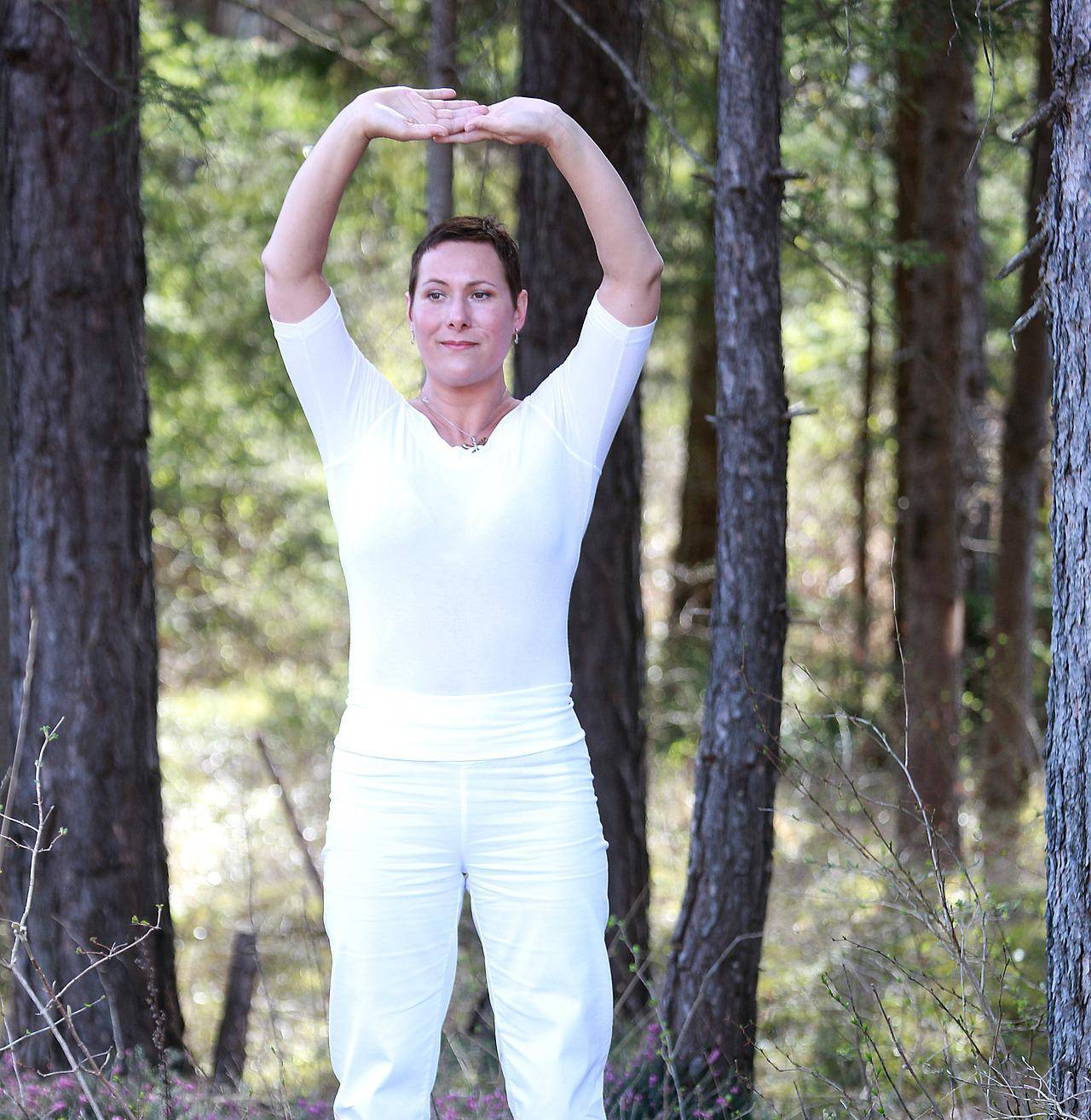 Qigong-Sommerkurs in der Volkshochschule Erkrath